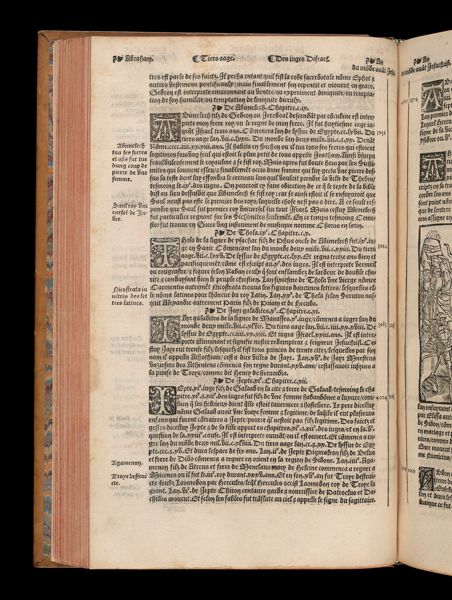 Page 307