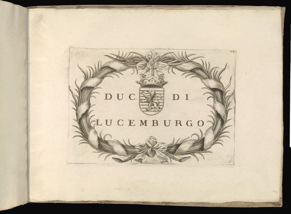 Duc di Lucemburgo