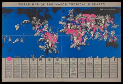 World Map of the Major Tropical Diseases