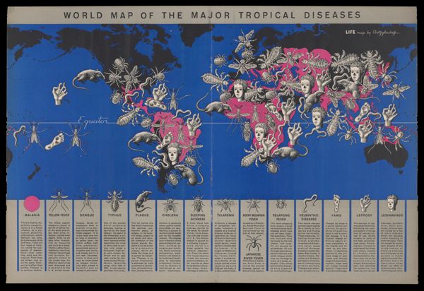 World Map of the Major Tropical Diseases