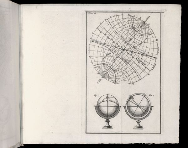 Plate VII.