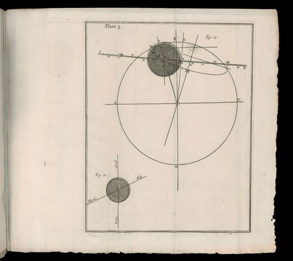 Plate 5.