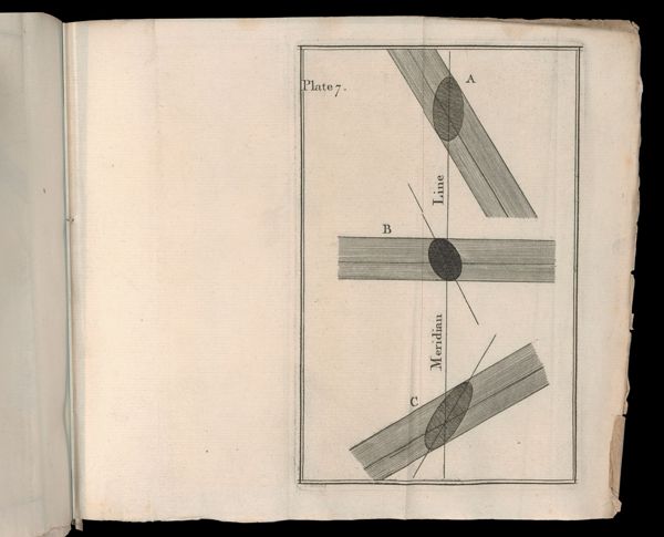 Plate 7.