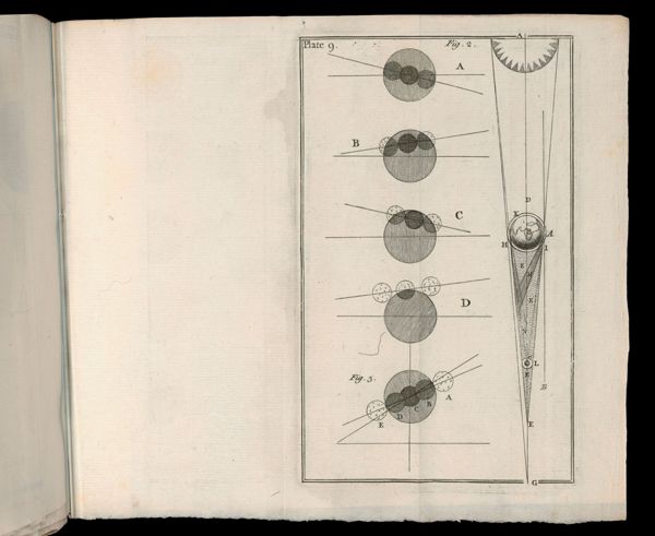 Plate 9.