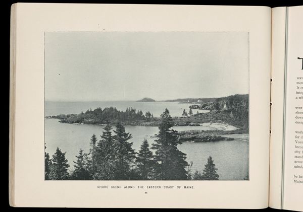 Shore scene along the Eastern coast of Maine.