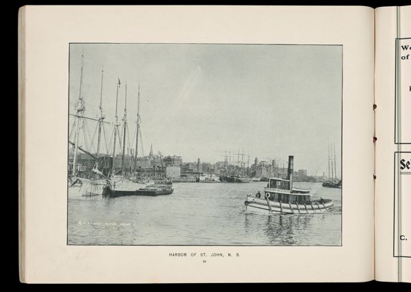 Harbor of St. John, N. B.