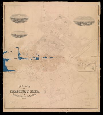 Plan of Chestnut Hill in Brookline and Newton