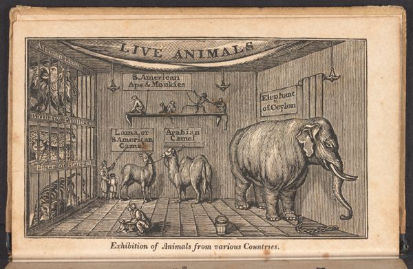 Exhibition of Animals from various Countries.