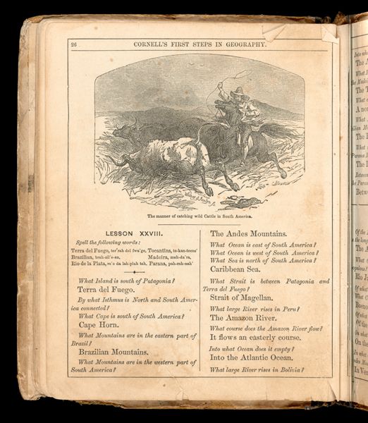 The manner of catching wild Cattle in South America