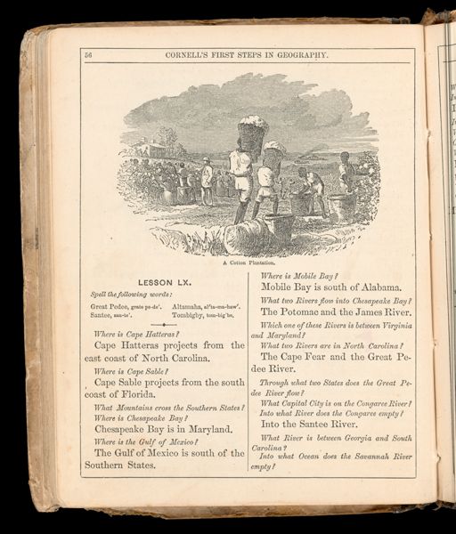 A cotton plantation
