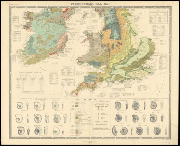 Palaeontogical Map