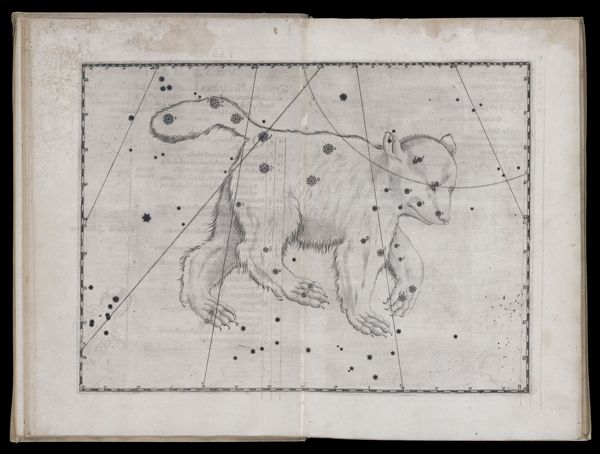 Tabula secunda. Ursa Major.