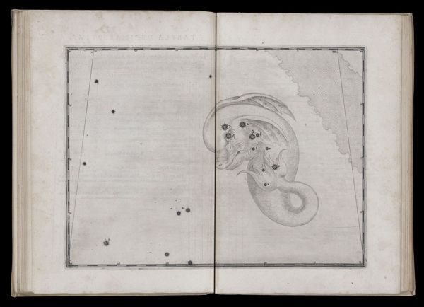 Tabula decimaseptima. Delphinus.