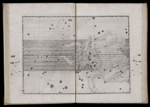 Tabula vigesimatertia. Taurus.