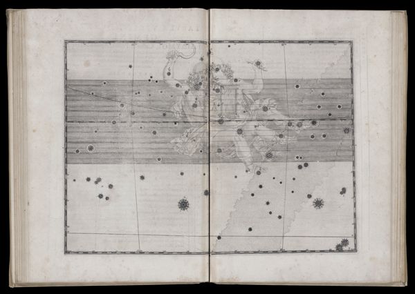 Tabula vigesimquarta. Gemini.