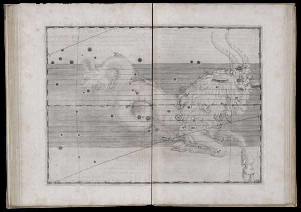 Tabula trigesimaprima. Capricornus.