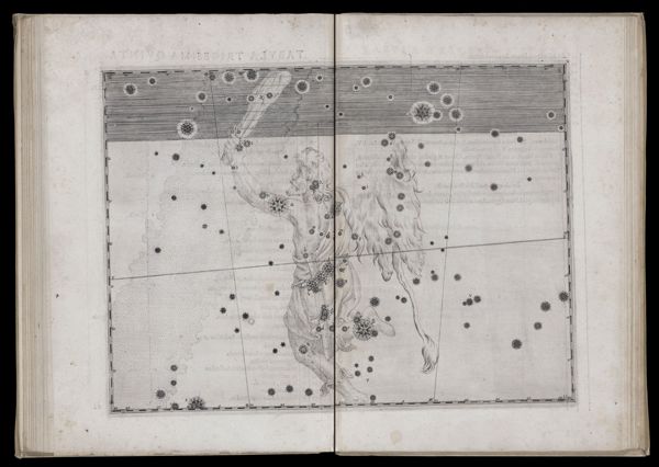 Tabula trigesimaquinta. Orion.