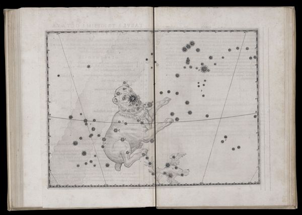 Tabula trigesimaoctava. Canis Major.