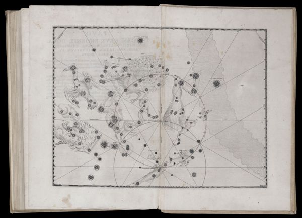 Tabula quadragesima nona. Pavo. Toucan. Grus. Phoenix. Dorado. Piscis Volans. Hydrus. Chameleon. Apis. Apis Indica. Triangulum Australe. Indus.