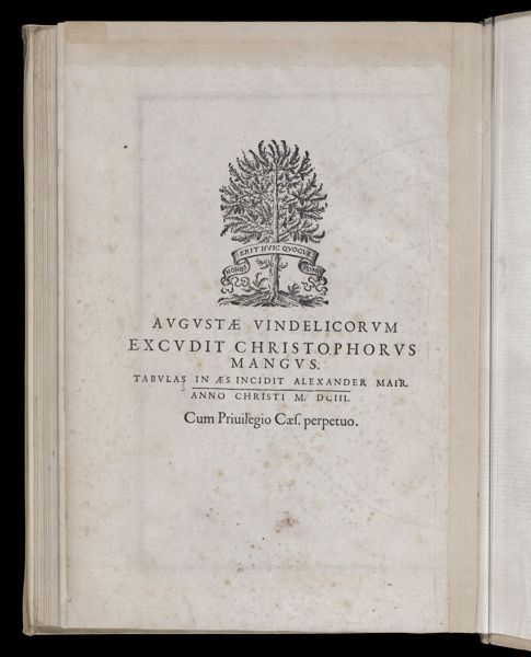 Augustae vindelicorum excudit Christophorus Mangus.  Tabulas in aes incidit Alexander Mair.  Anno Christi M. DCIII.  Cum Priuilegio Caef. perpetuo.