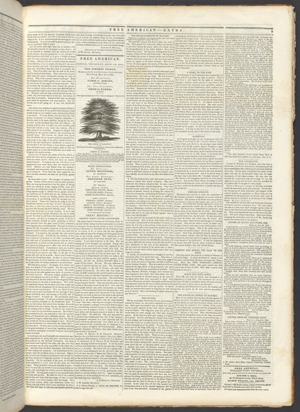 Free American Extra page 3