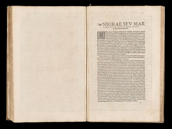 Nigrae sev Martianae Silvae Tabula, quae in Brisgoiam usque extenditur.