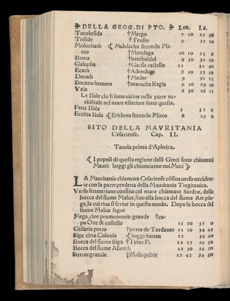 Page 233