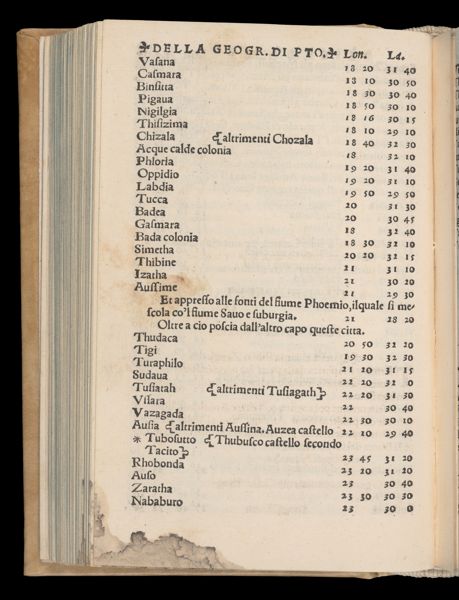 Page 237