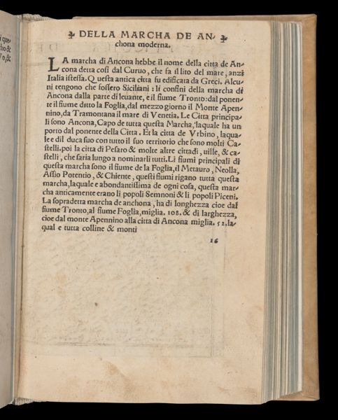 Page 482