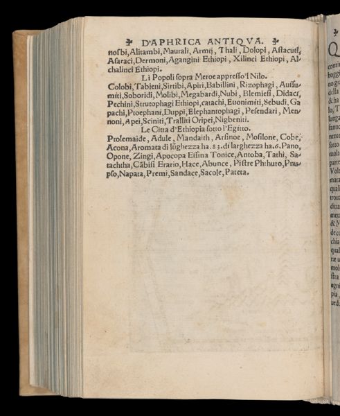 Page 517