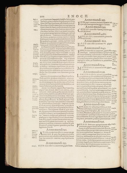 Page 239