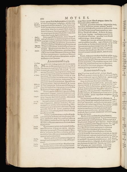 Page 247