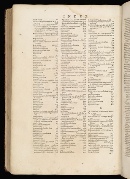 Page 333