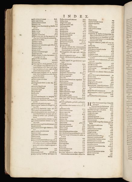 Page 339