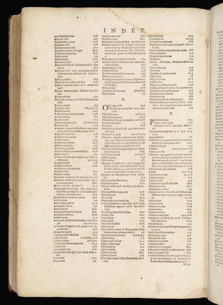 Page 345