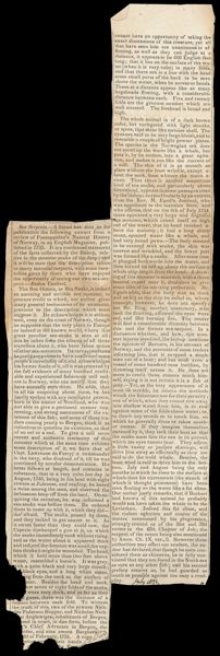 [Newspaper clippings about sea serpent sightings]