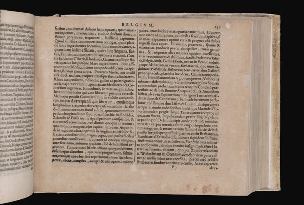 Page 229