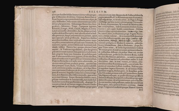 Page 230