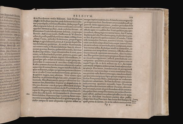 Page 231