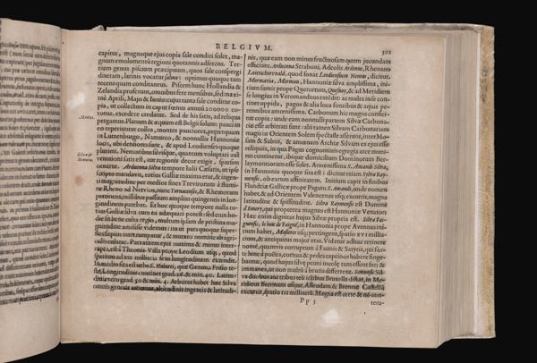 Page 233