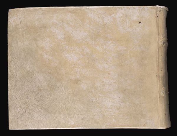 [Back cover]