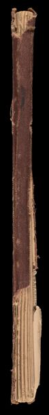 [Spine]