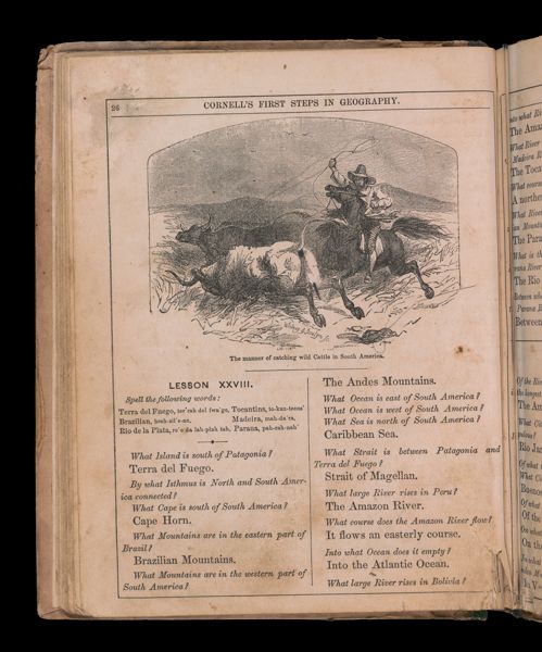 The manner of catching wild cattle in South America.