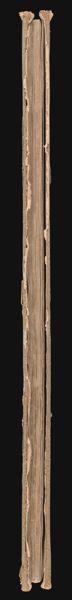 [Fore edge]