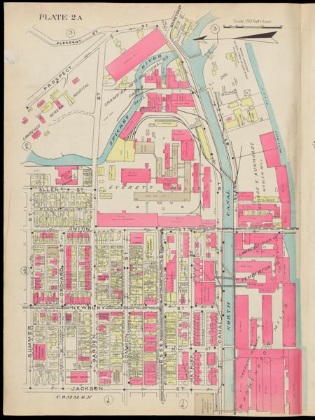 Plate 2A