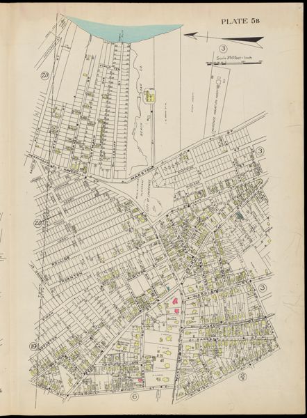 Plate 5B