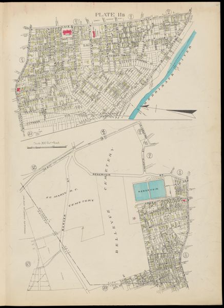 Plate 11B