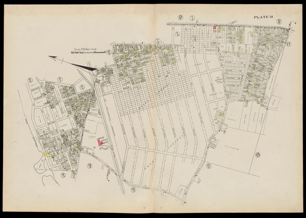 Plate 10