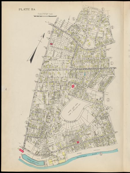 Plate 11A