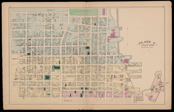 Plate 5